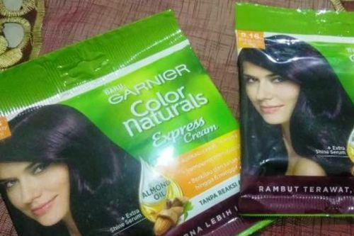 Cat Rambut Garnier Color Naturals